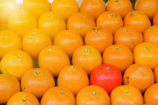 Plusieurs mandarines, dont une plus orange que les autres